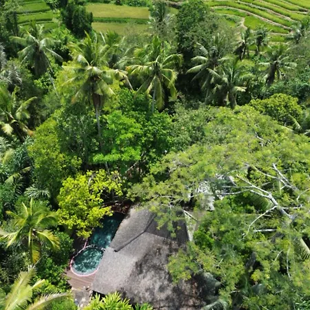 Permata Ayung Private Estate (Adults Only) Villa Ubud  Exterior photo