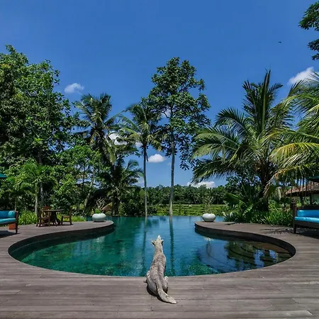 Permata Ayung Private Estate (Adults Only) Villa Ubud  Exterior photo